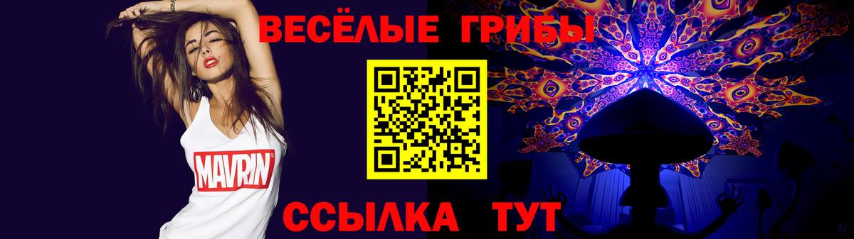 Псилоцибиновые грибы ЛСД  Вход с VPN  Сердобск  Галлюциногенные грибы MAGIC MUSHROOMS 